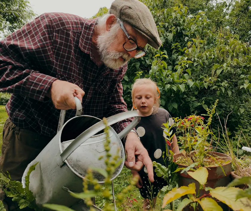 A grandfather and grandchild watering plants in the garden
